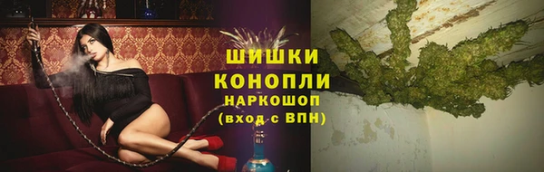 прущий лед Новозыбков
