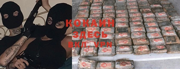 прущий лед Новозыбков