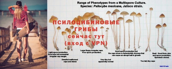 каннабис Вязьма