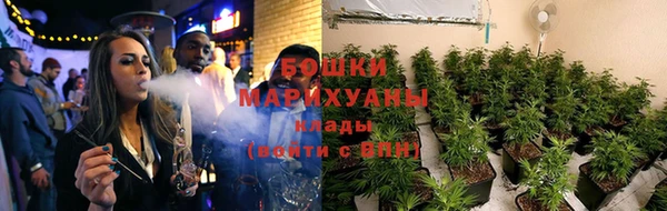 прущий лед Новозыбков
