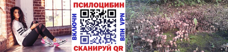 гидра   Кунгур  Галлюциногенные грибы прущие грибы 