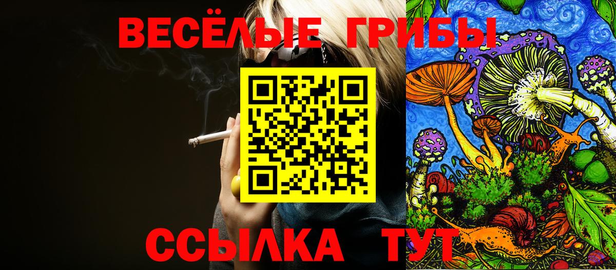 Галлюциногенные грибы мицелий  Вход с VPN  продажа наркотиков  Кунгур 